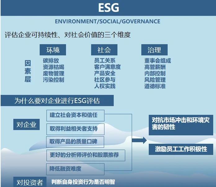 双碳战略咨询服务(双碳战略是什么意思)大同市