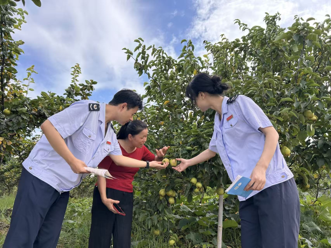 税务合规规范辅导(税务合规的规则体系)大同市