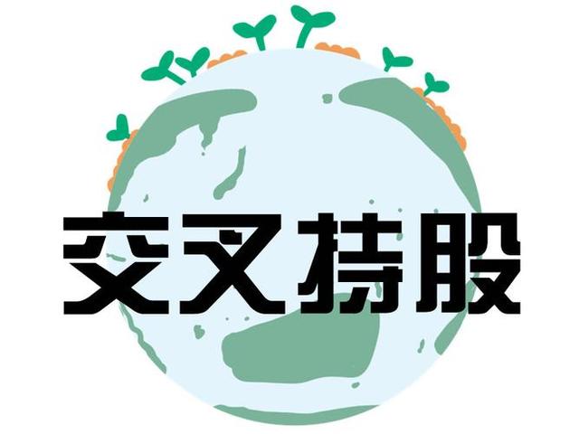交叉持股安排设计(交叉持股怎么计算持股比例)大同市
