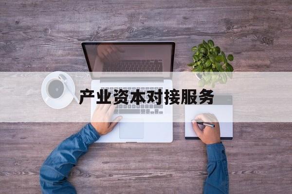产业资本对接服务(产业资本对接服务包括哪些)大同市