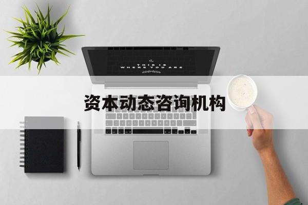 资本动态咨询机构(资本结构动态调整理论)大同市